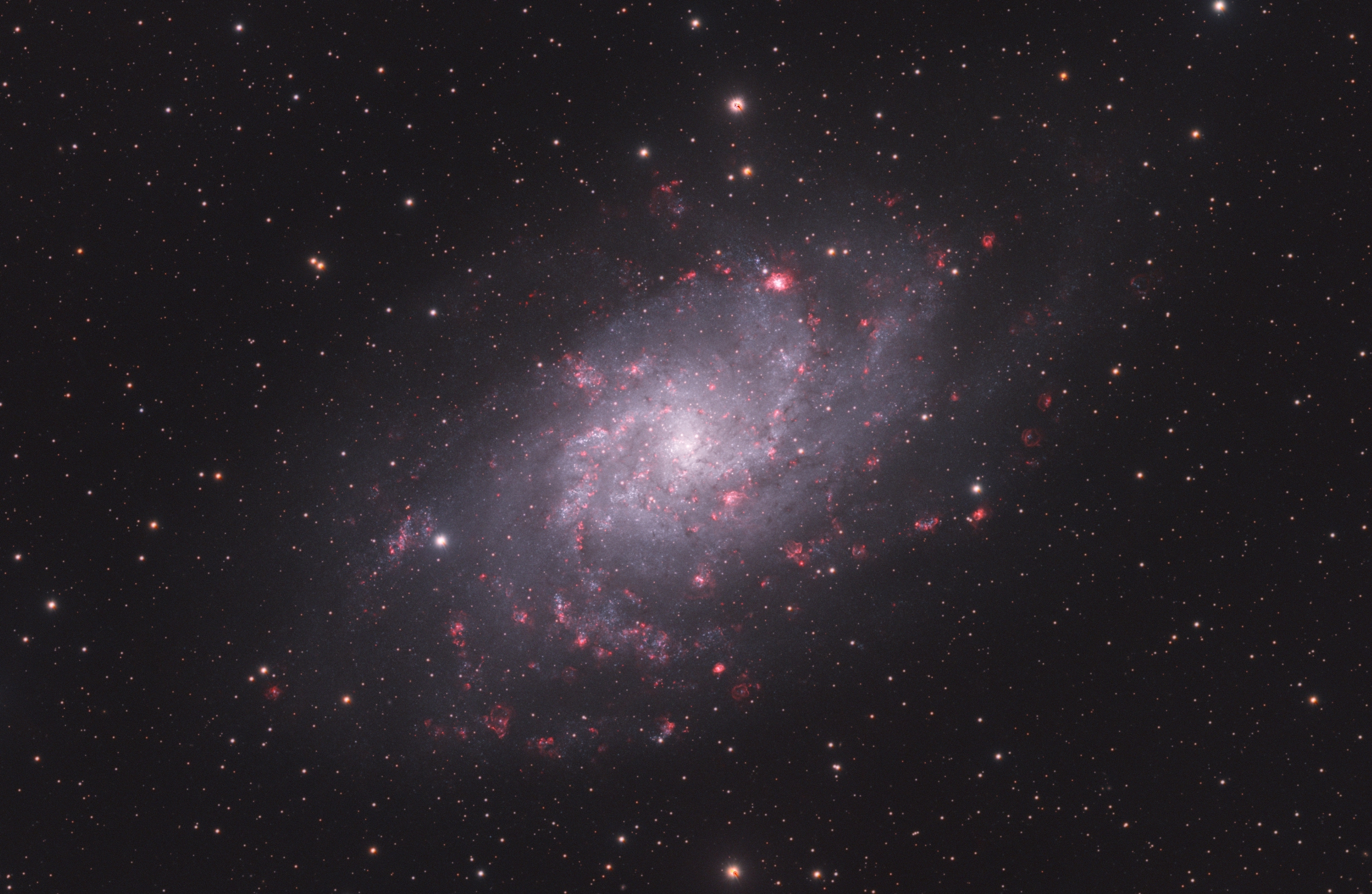 M33